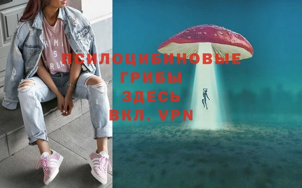 мескалин Новокубанск