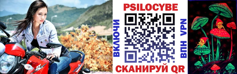 Псилоцибиновые грибы GOLDEN TEACHER  Аксай 